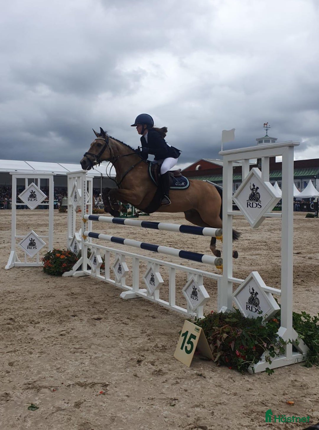 Hoppning hästar till salu: 13yr old TOP 128cm pony!!! i Stockholm - Annons 6