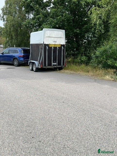 Hästtransporter  fordon & transport till salu: Hästtransport - Annons 13