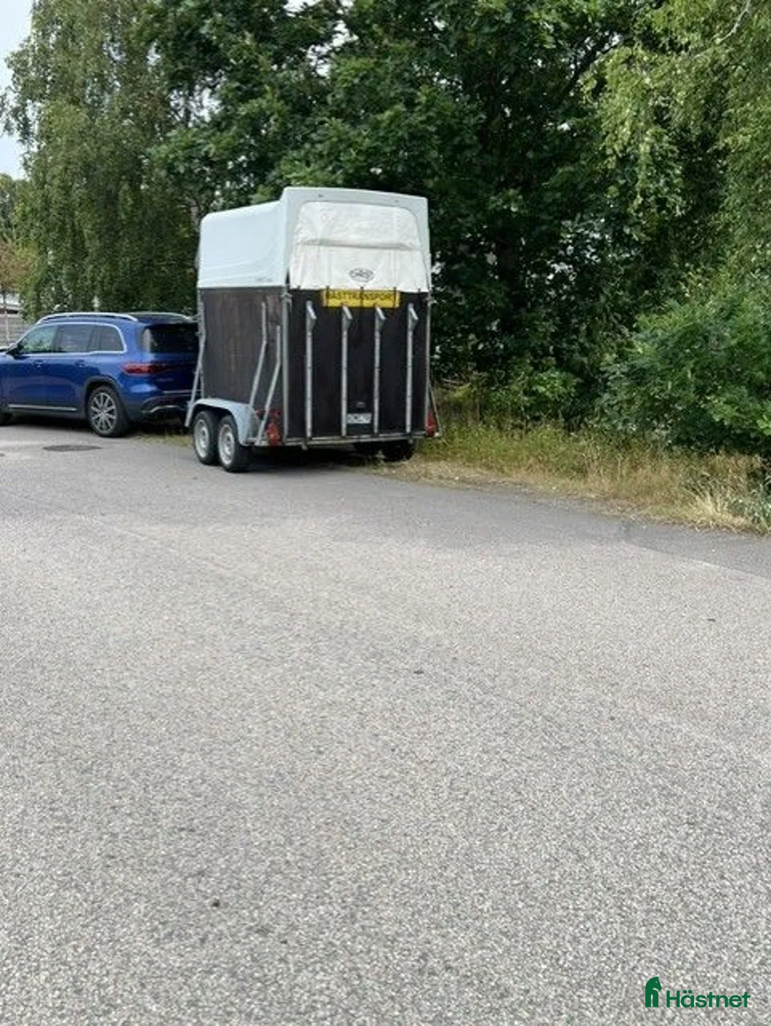Hästtransporter  fordon & transport till salu: Hästtransport i Halmstad - Annons 1