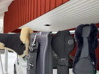 Övrig Hästutrustning hästutrustning Tärnsjö Longeringsgjord AE i Täby - Annons 2