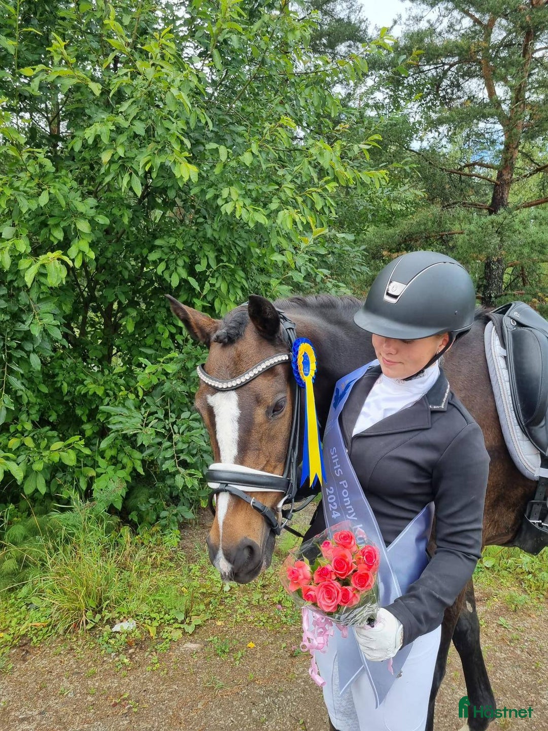 Dressyr hästar till salu: Fantastisk FEI-ponny i Bro - Annons 4