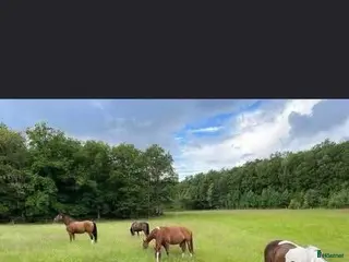 stallplats Ledig boxplats i Billdal! - Annons 11