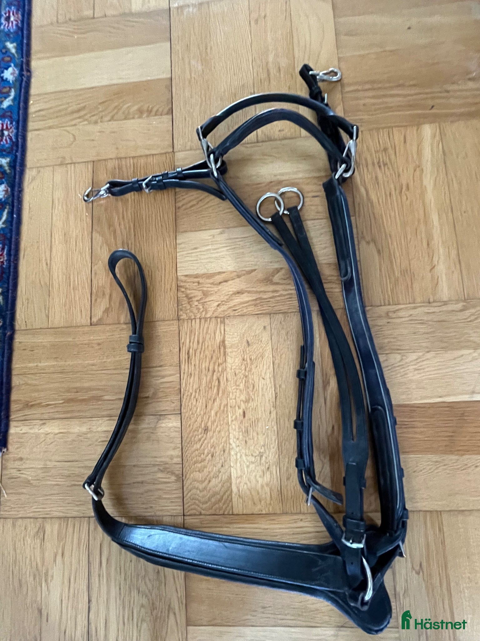 Sadeltillbehör hästutrustning till salu: Rambo Micklem förbygel med martingal  - Annons 2