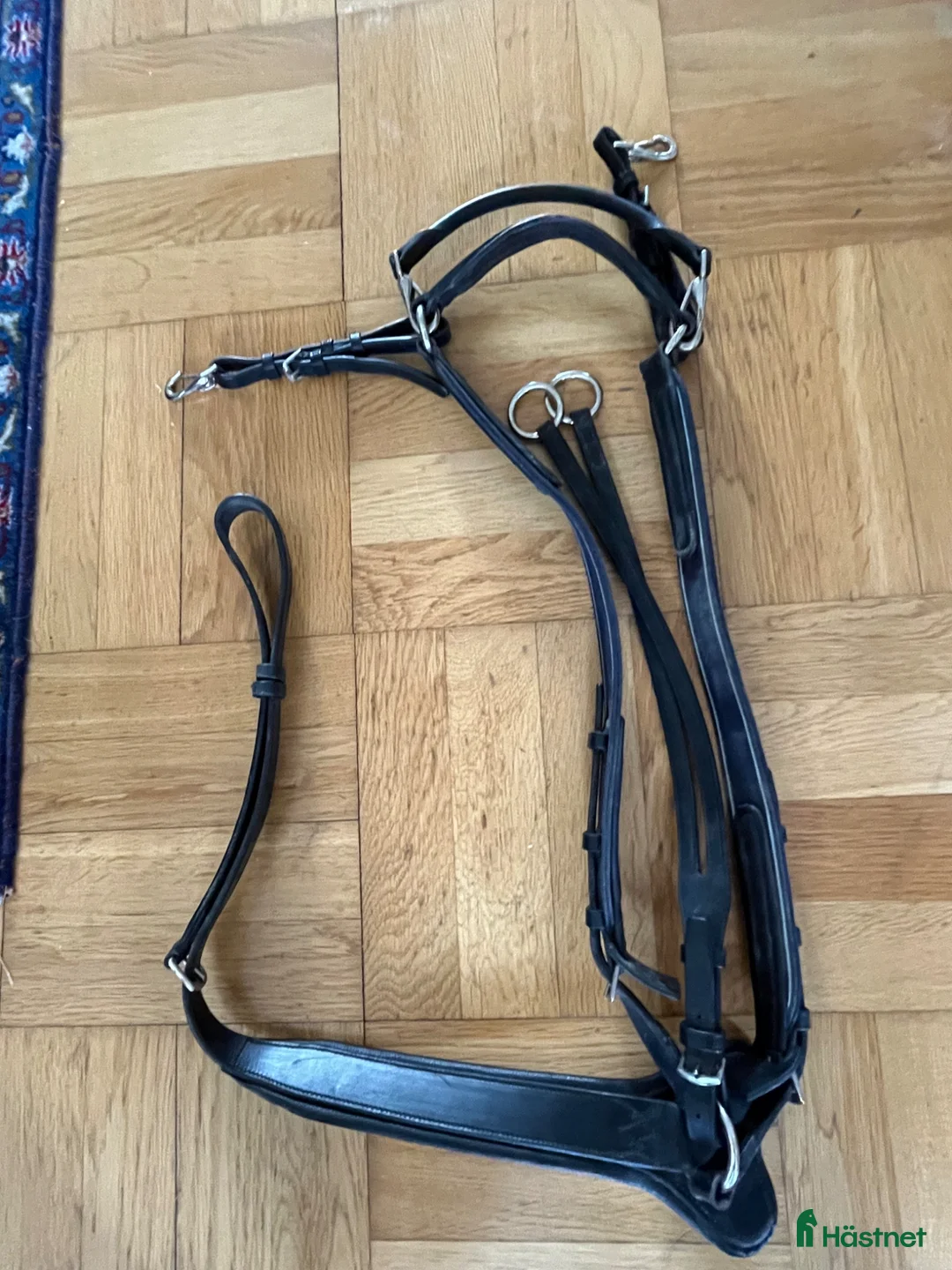 Sadeltillbehör hästutrustning till salu: Rambo Micklem förbygel med martingal  - Annons 1