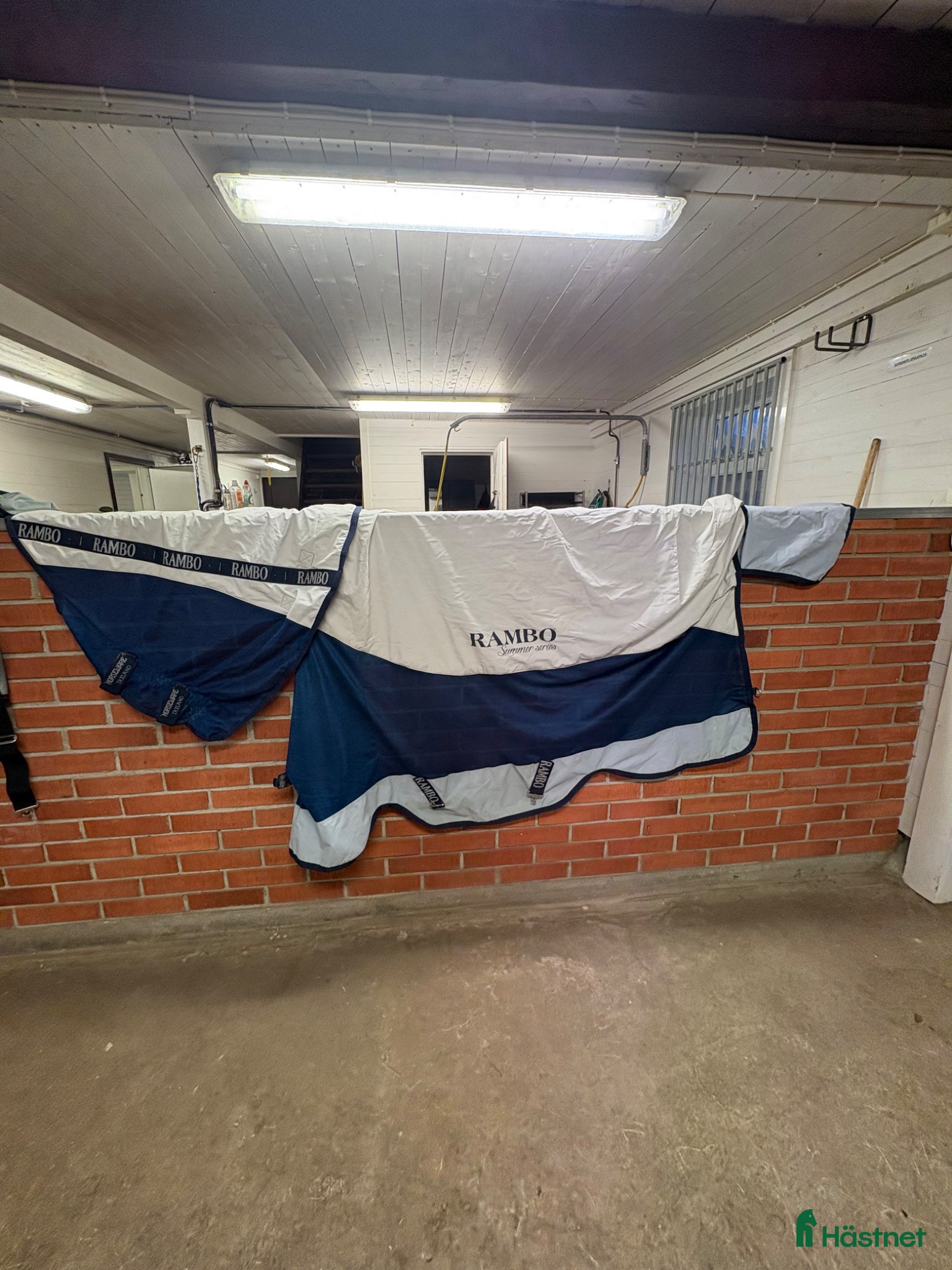 Täcken hästutrustning Rambo summer series - Annons 17