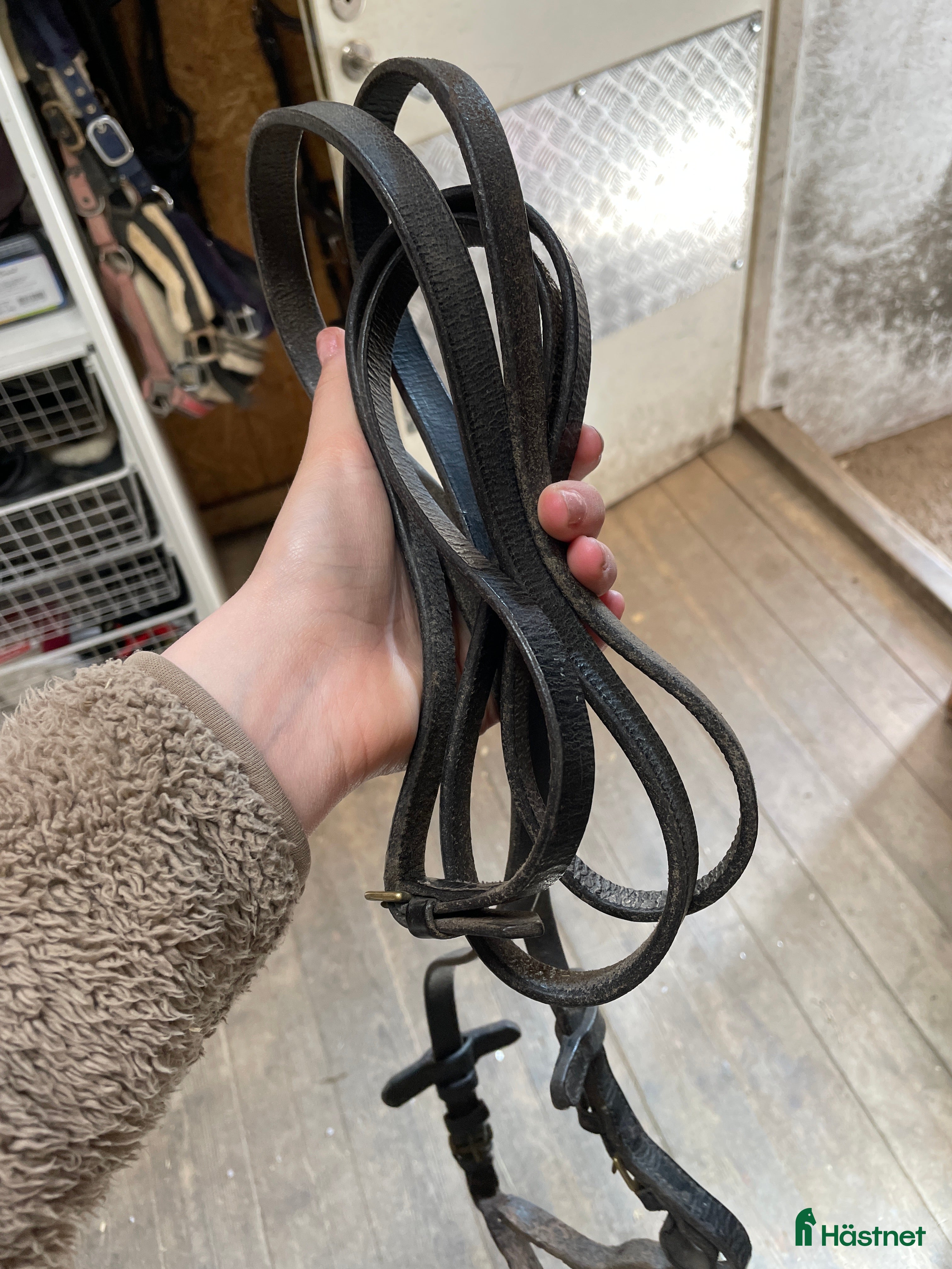 Övrig Hästutrustning hästutrustning till salu: Fina tyglar i Västerås - Annons 10