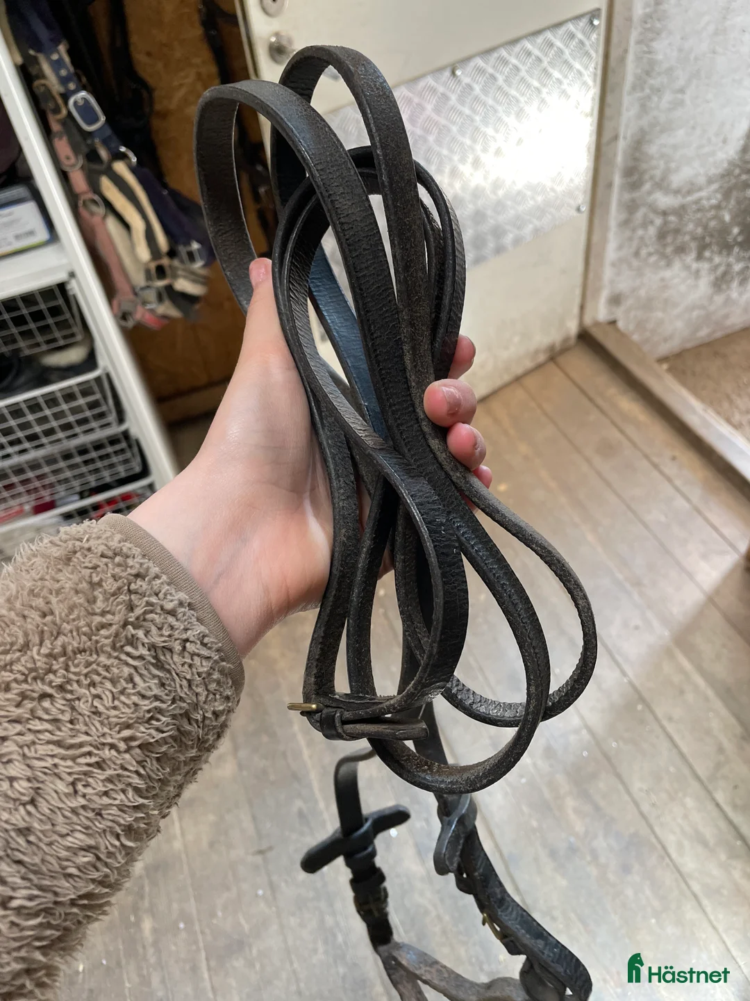 Övrig Hästutrustning hästutrustning till salu: Fina tyglar i Västerås - Annons 1