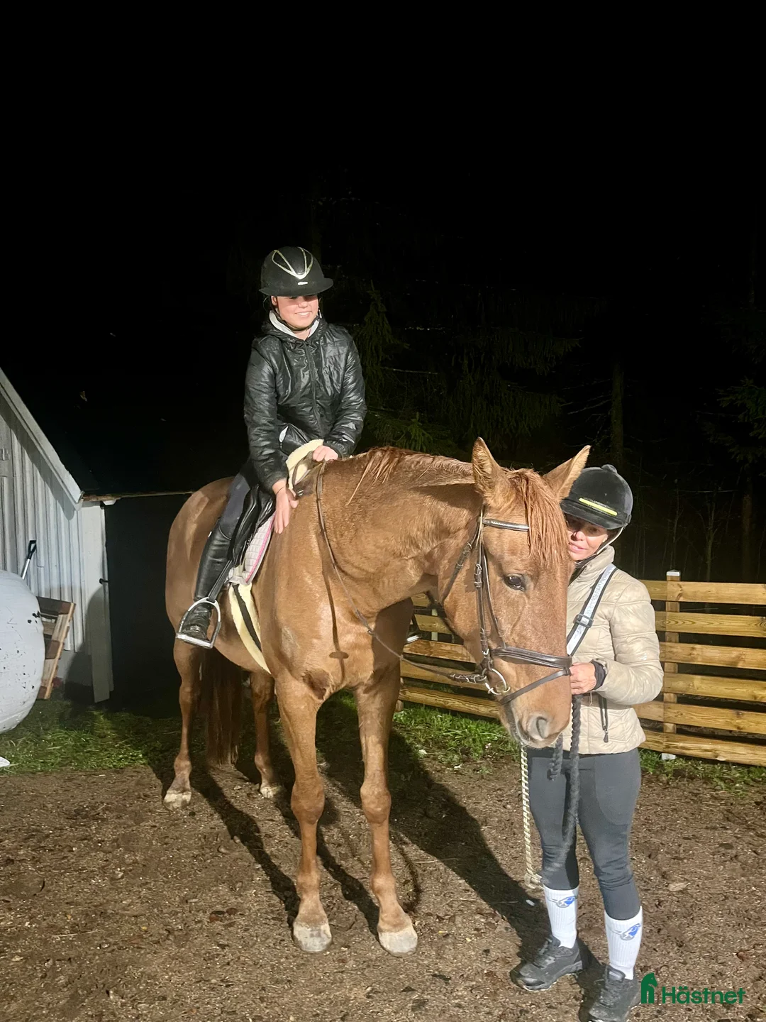 Allround hästar till salu: Trevlig valack i Hyssna - Annons 2