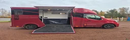 Hästlastbilar  fordon & transport till salu: B-kortsbuss Stuterinredning  - Annons 9