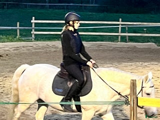 medryttarhäst finnes: Söker medryttarhäst i Täby - Annons 11