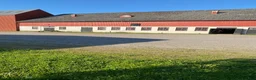  stallplats finnes: Boxplats i Flen - Annons 2
