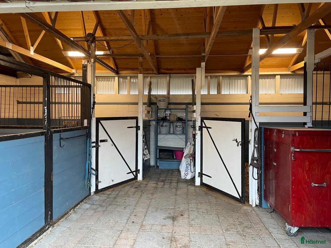  stallplats finnes: Stallplats i Djurmo/Gagnef i Djurmo - Annons 8