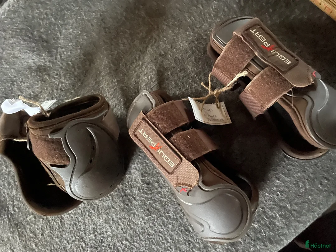 Benskydd hästutrustning till salu: Benskydd i Vinninga - Annons 2