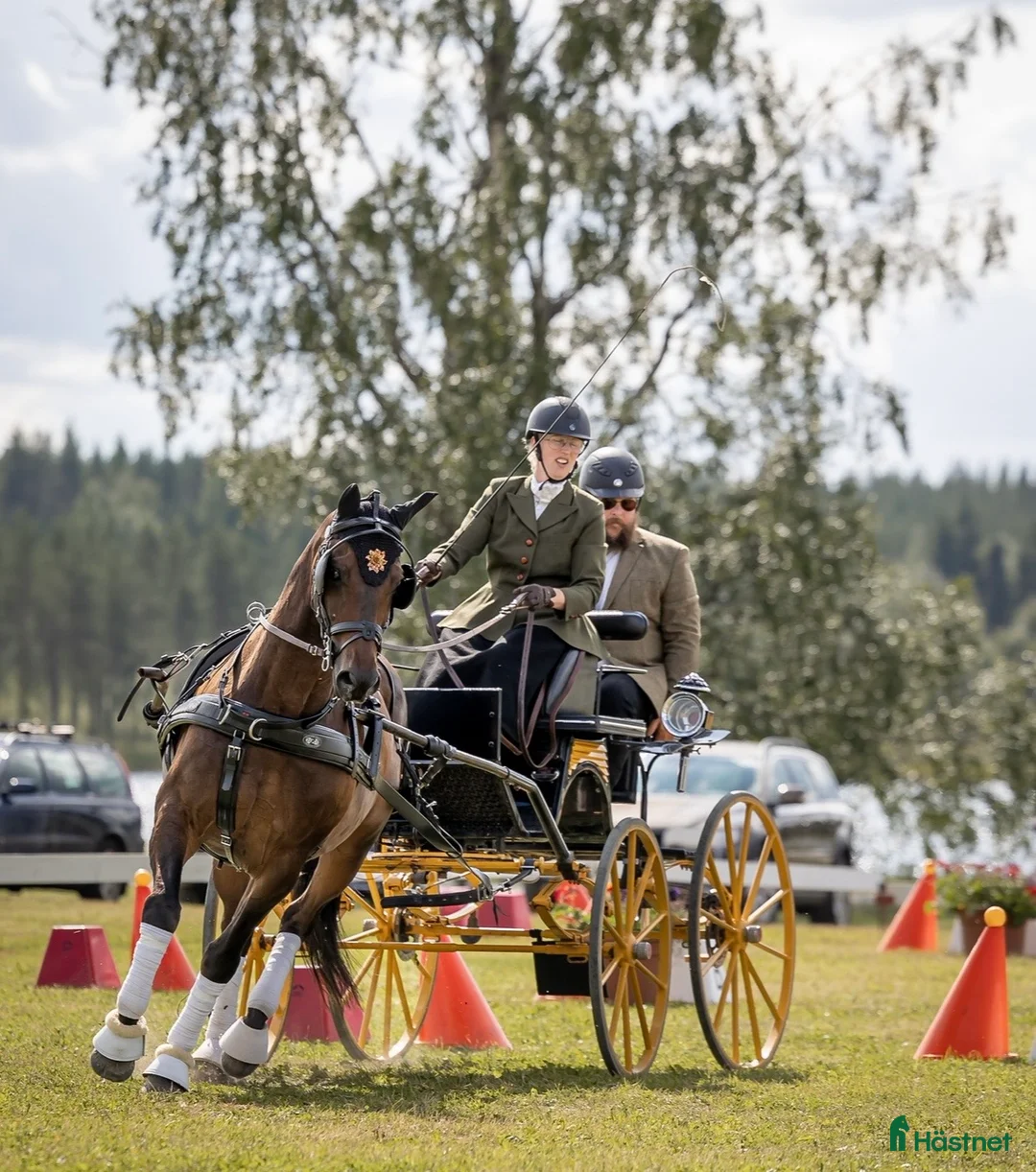 hästgårdar till salu: Gård att arrendera/hyra sökes i Stjärnhov - Annons 2