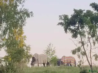 stallplats Sommarbete/Tillfällig uppstallning sommaren 2026 - Annons 7