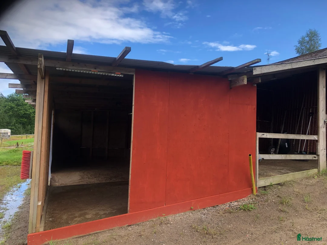  stallplats finnes: Lösdrift med flera Ligghallar - Annons 2