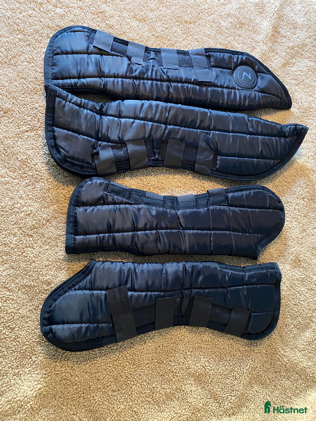 Benskydd hästutrustning till salu: Transportskydd storlek L i Gävle - Annons 2