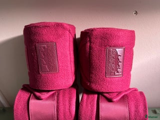 Benskydd hästutrustning till salu: Vinröda benlindor i Perstorp - Annons 23