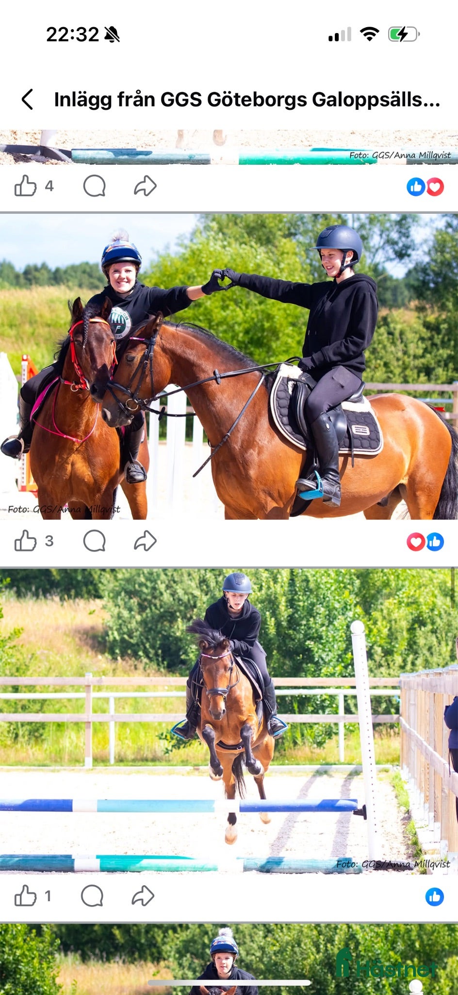 Hoppning hästar sökes: Söker storhäst hoppning  - Annons 1