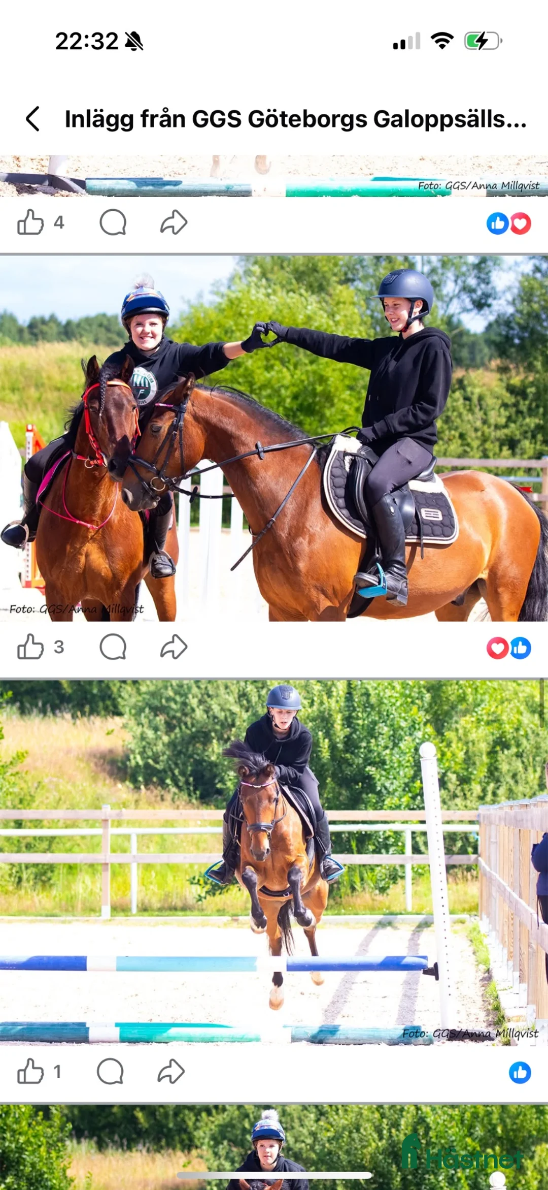 Hoppning hästar sökes: Söker storhäst hoppning  i Habo - Annons 1