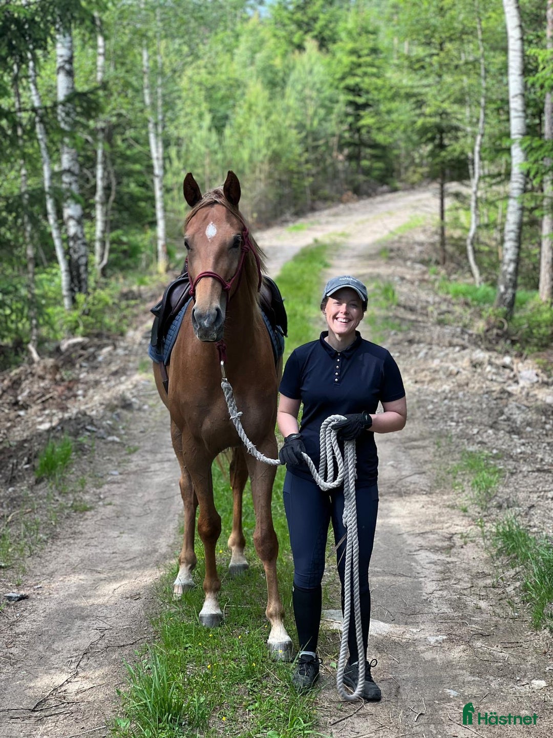  hästservice finnes: inridning & utbildning i Simlångsdalen - Annons 6