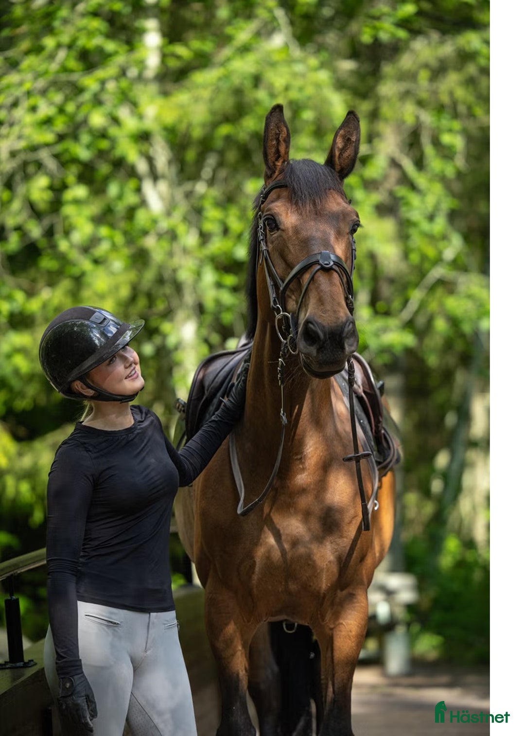 Hoppning hästar till salu: Snill spranghest med stor kapasitet i Nittedal - Annons 11