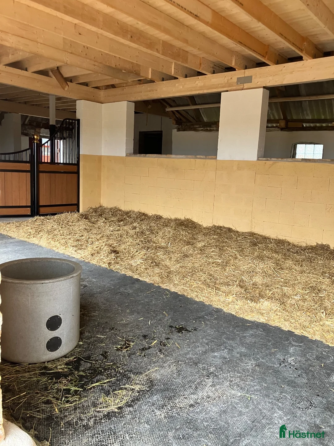  stallplats finnes: Plats för häst - daglig tillsyn/skötsel - Annons 2