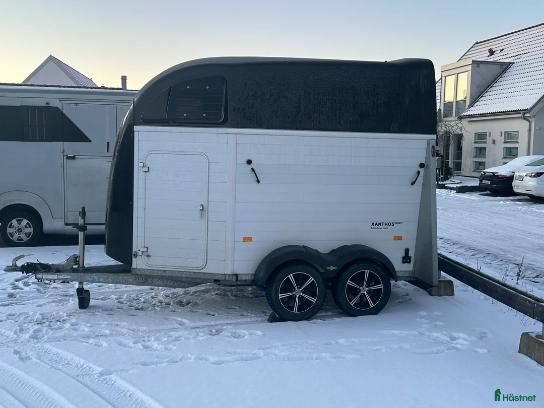 Hästtransporter  fordon & transport till salu: Humbaur hästtransport - Annons 3