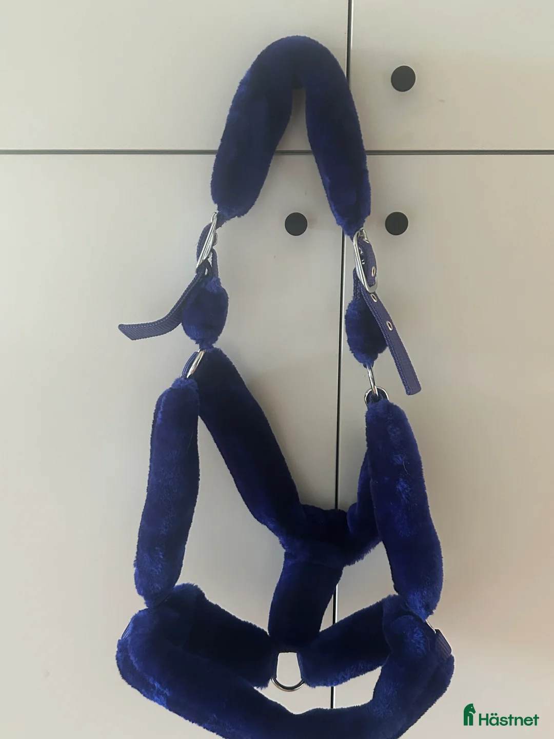 Övrig Hästutrustning hästutrustning till salu: Navy blue grimma  i Svartsjö - Annons 2