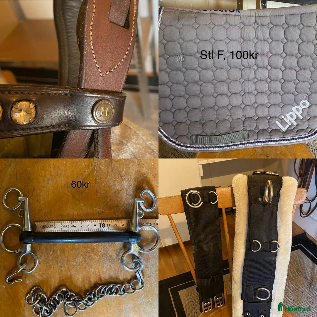 Övrig Hästutrustning hästutrustning till salu: Diverse hästutrustning säljes!  i Skellefteå - Annons 1