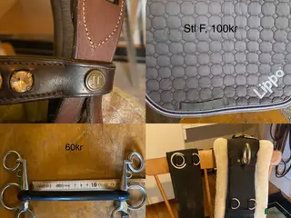 Övrig Hästutrustning hästutrustning Diverse hästutrustning säljes! i Skellefteå - Annons 2