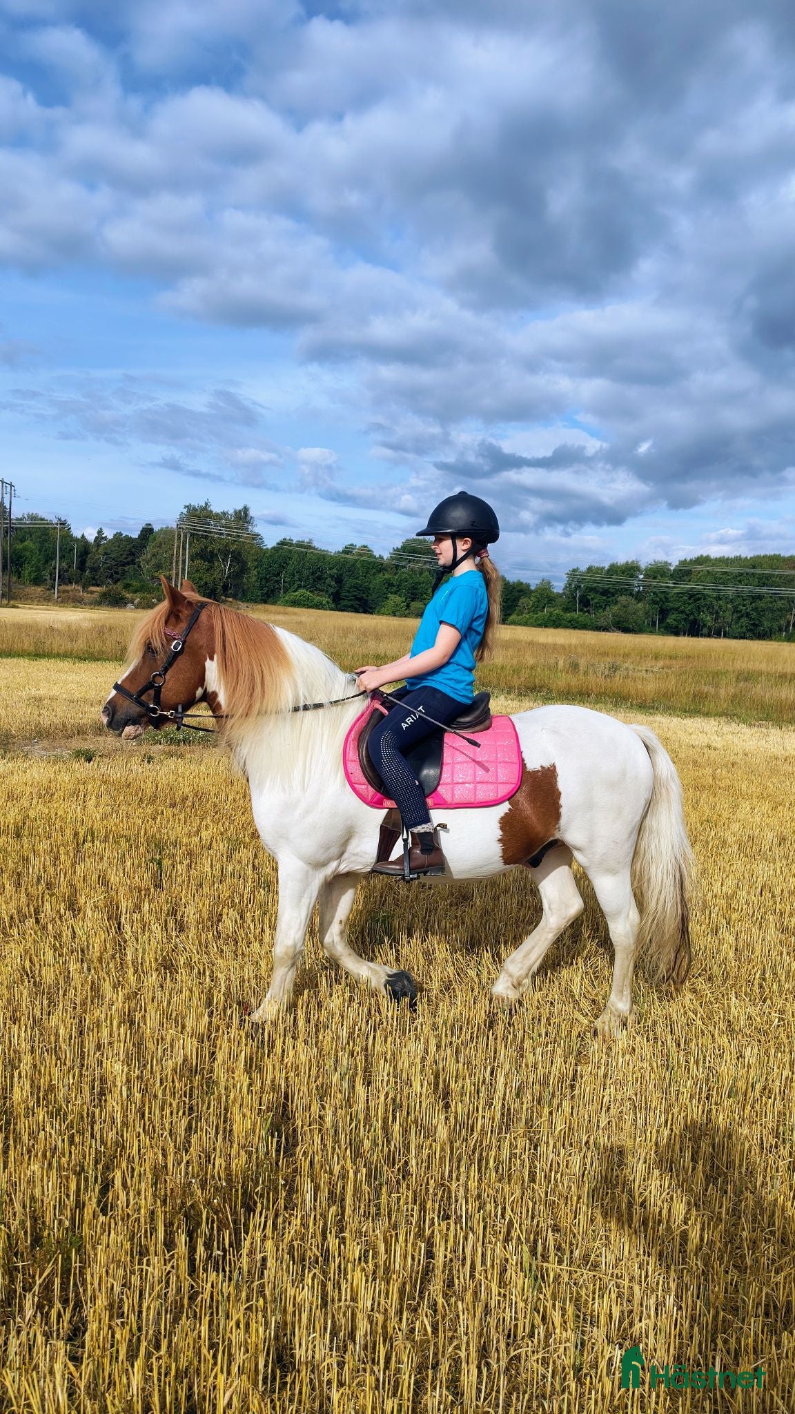  medryttarhäst finnes: Medryttare till grövre c-ponnyvalack 🐴 - Annons 16