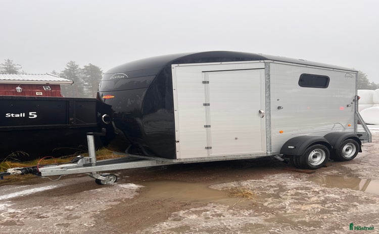 Hästtransporter  fordon & transport till salu: Böckmann portax k i Malmberget - Annons 6