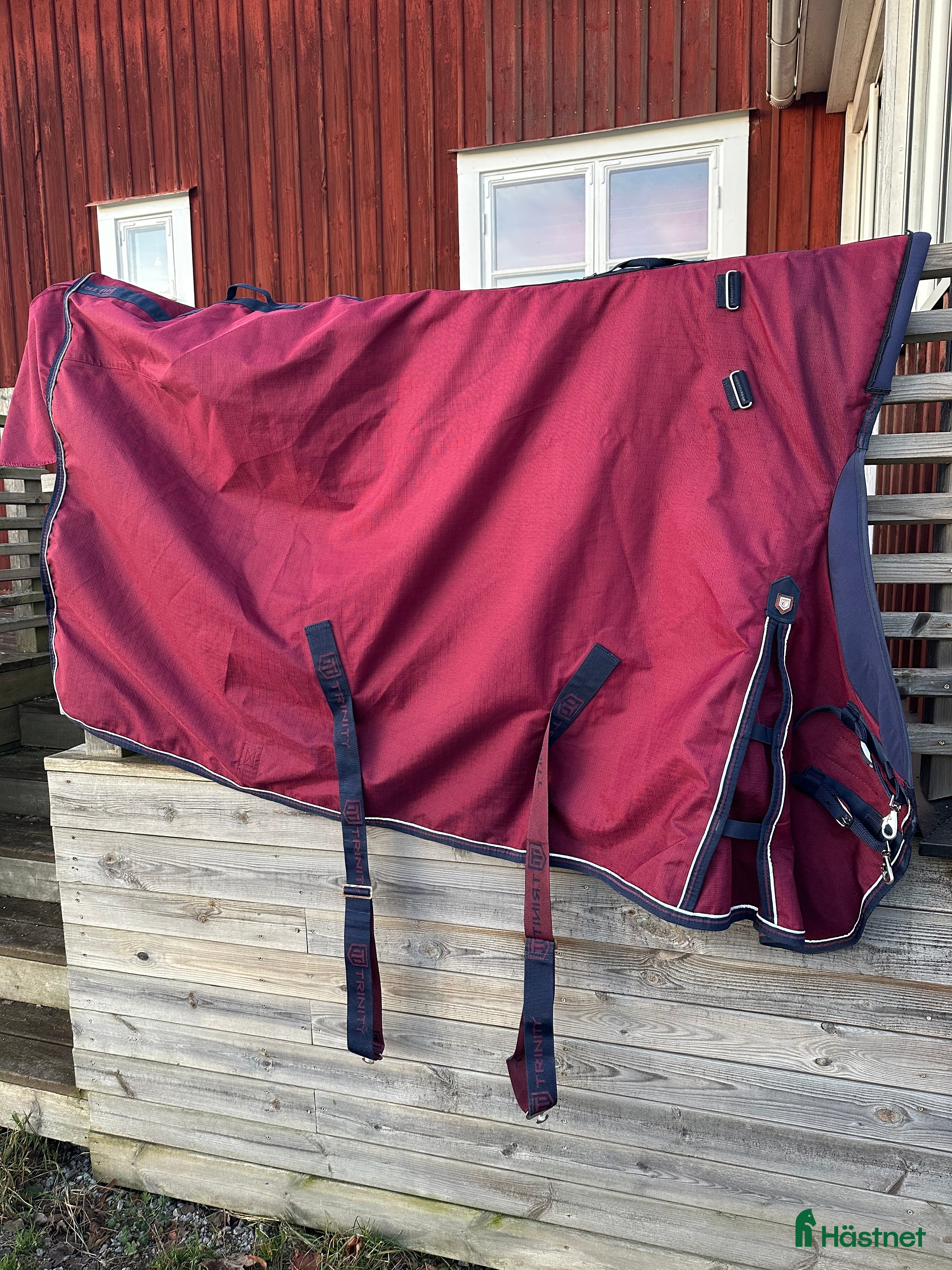 Täcken hästutrustning till salu: 50 grams regntäcke  i Glanshammar - Annons 9