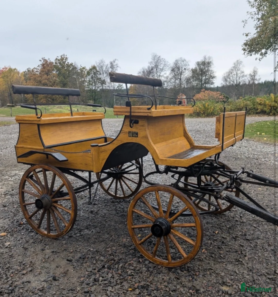 Körvagnar körning till salu: Vacker vagn/Trilla - Annons 1