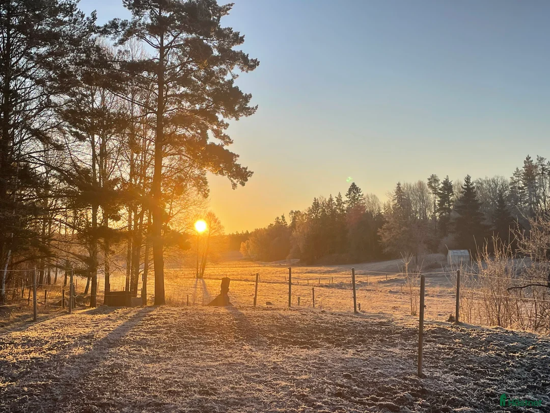  stallplats finnes: Ledig stallplats, Norrköping  - Annons 3