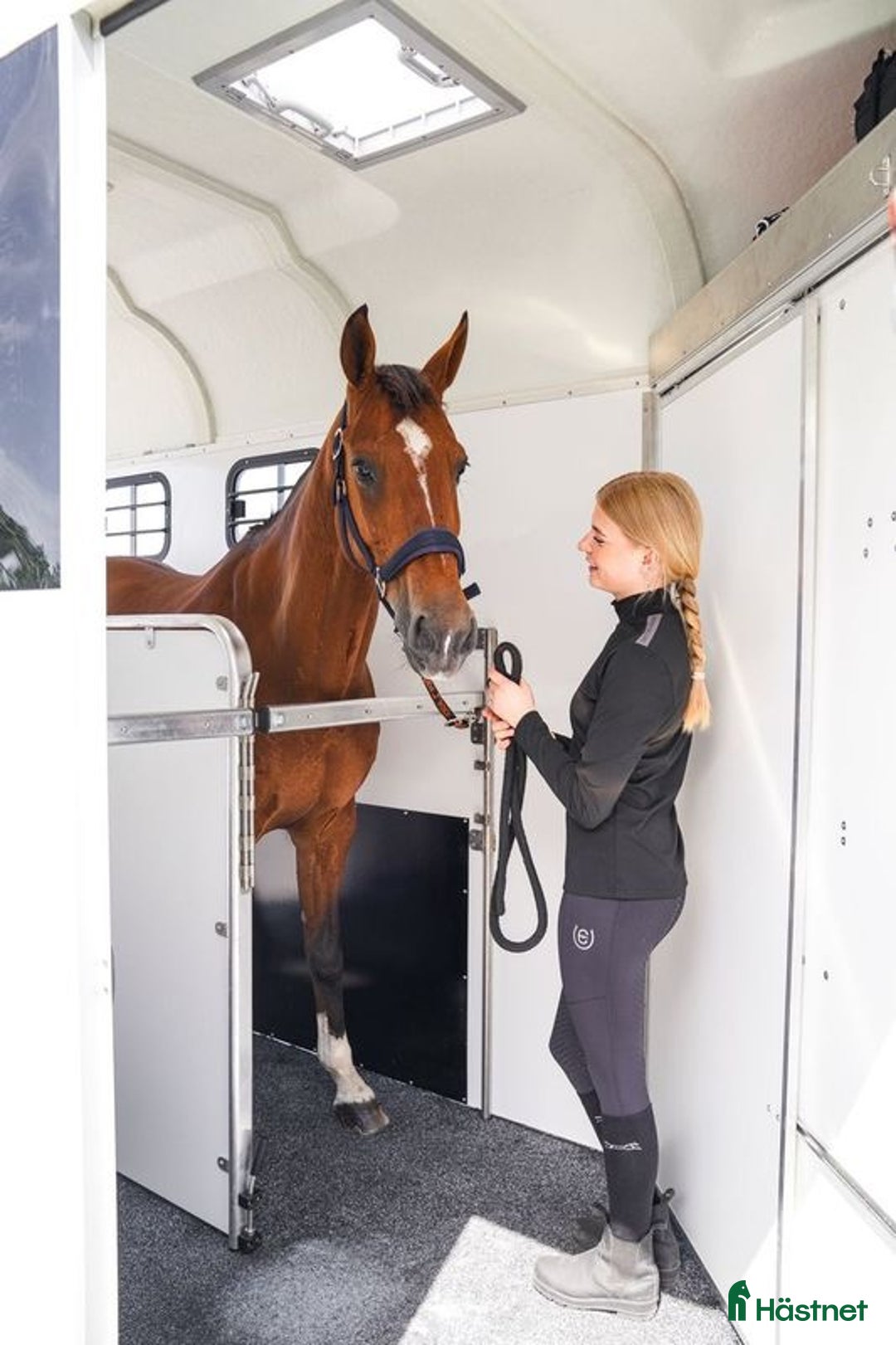 Hästtransporter  fordon & transport till salu: Forzab EQ2 med eller utan fronturlastning i Klippan - Annons 9