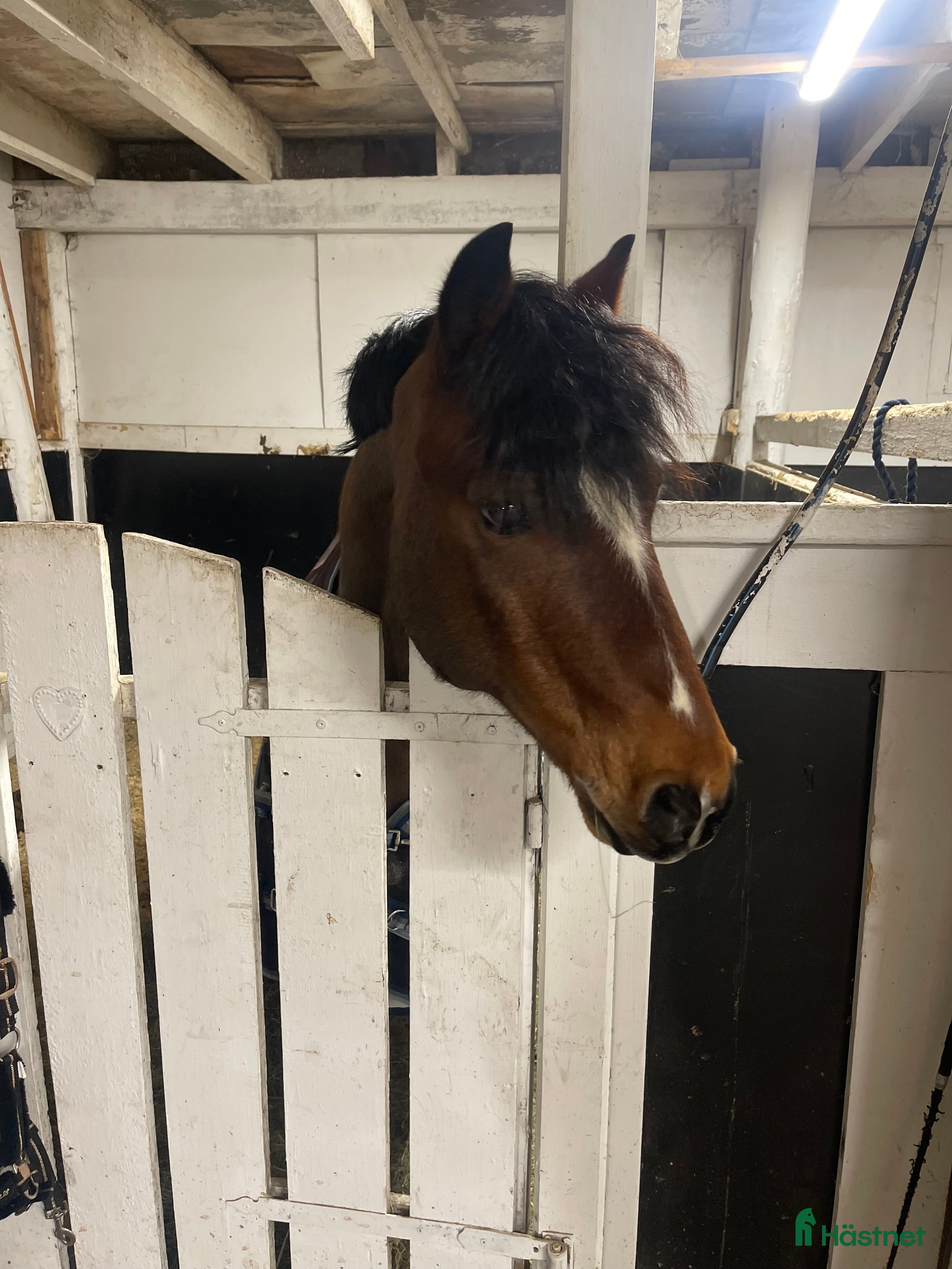  stallplats Stallplats i Tullinge - Annons 12