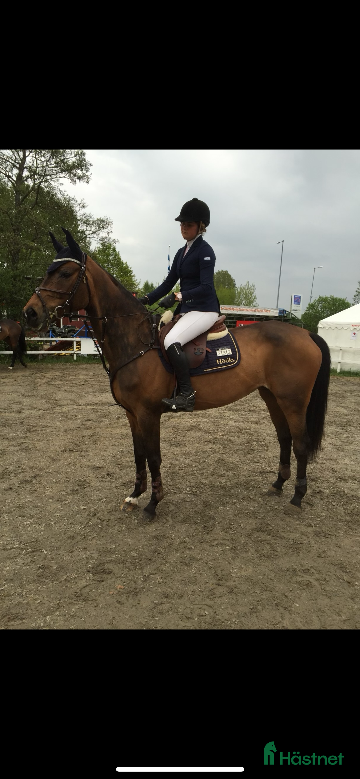  medryttarhäst sökes: Medryttarhäst sökes - Annons 23