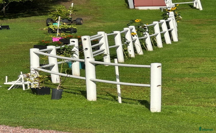 Stallinredning, stängsel & gård övrig utrustning till salu i Hedemora - Annons 14