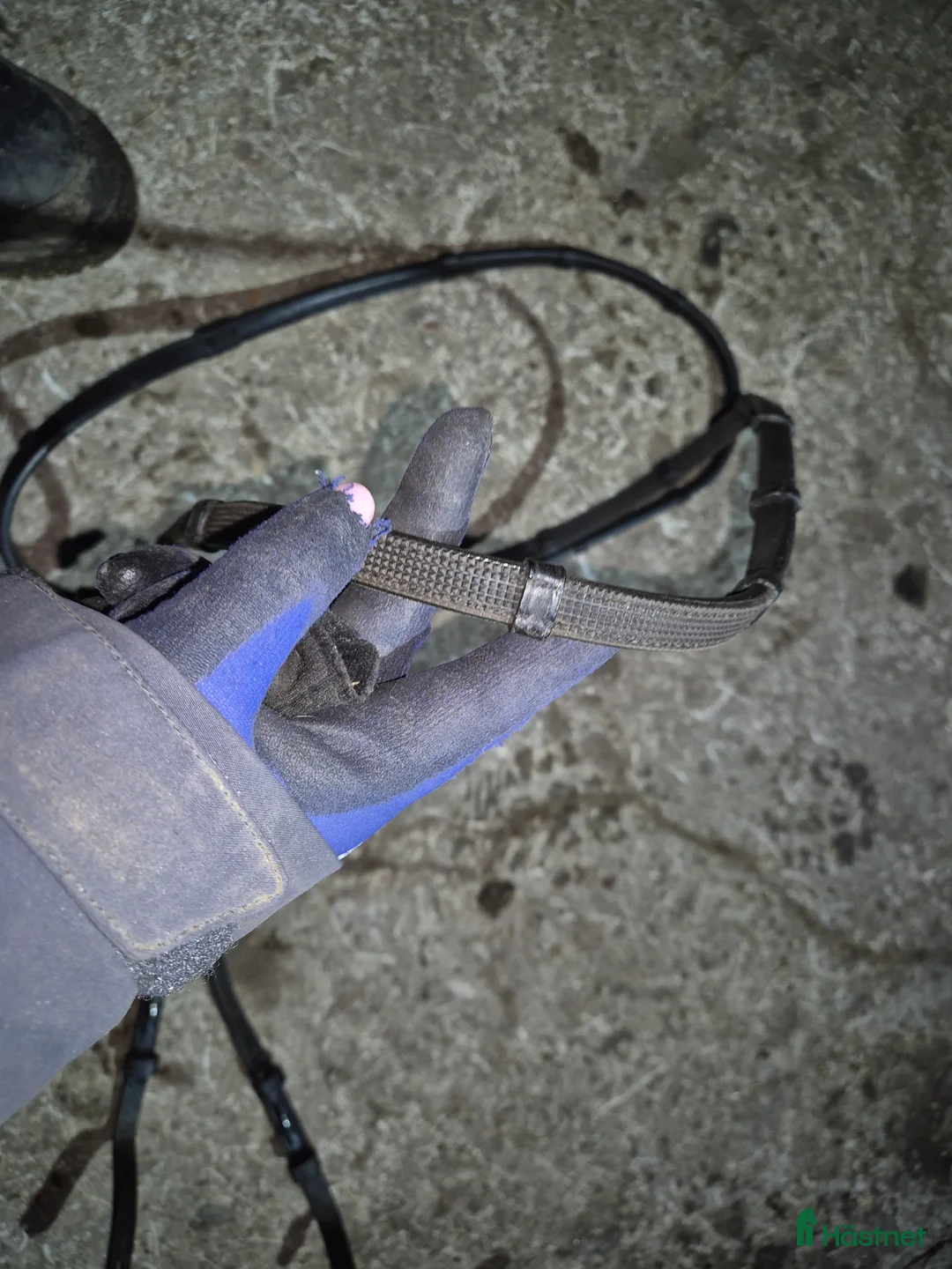 Träns hästutrustning till salu: Tyglar i Säve - Annons 3