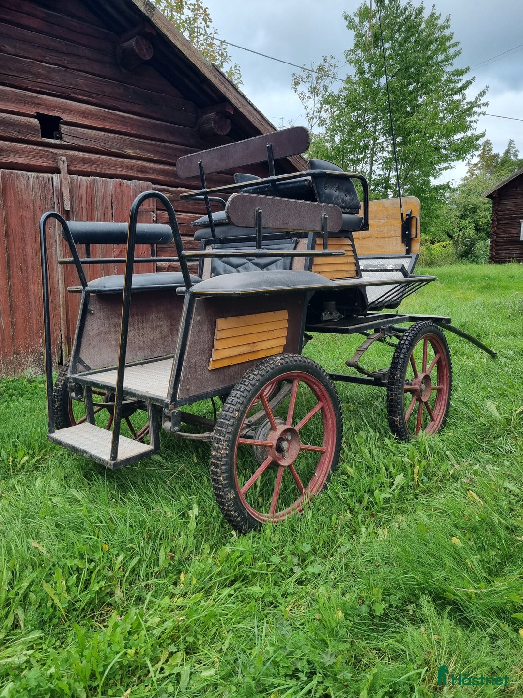 Körvagnar körning till salu: Wagonette i Vikarbyn - Annons 2