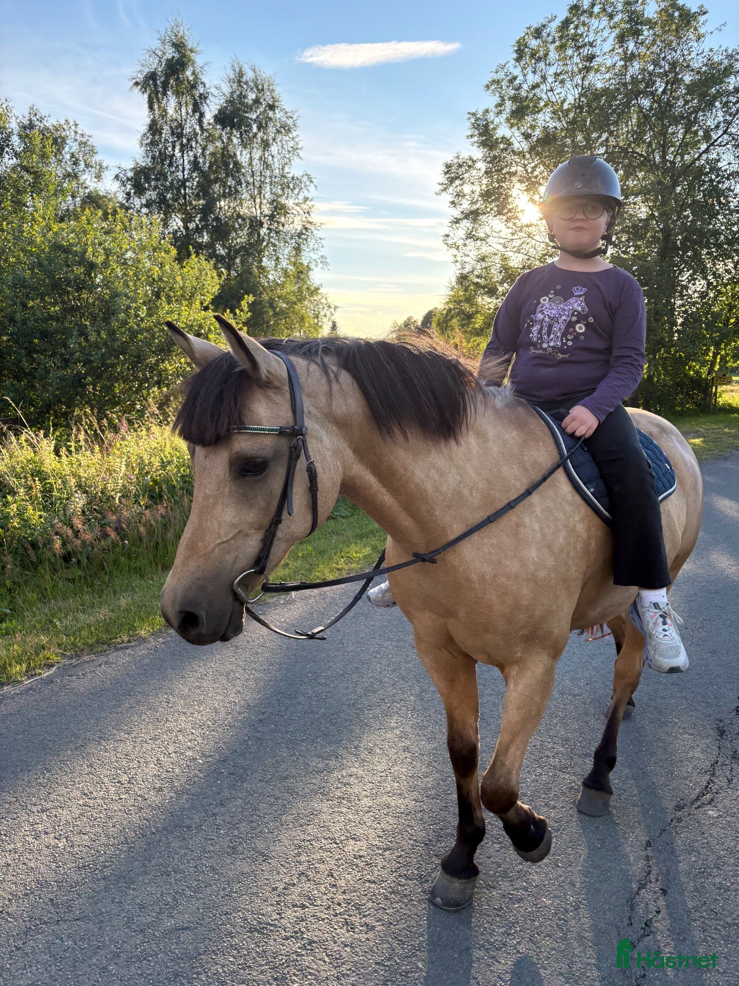  hästar Hoppglad, pigg, mysig cponny - Annons 2