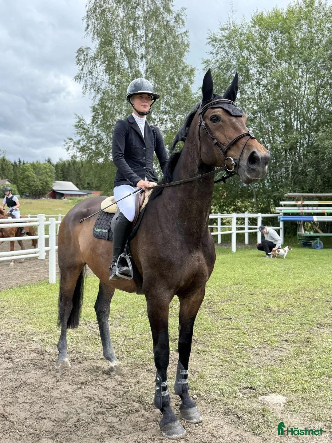 Allround hästar till salu: Sto med mycket utstrålning! i Kumla - Annons 2