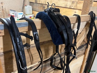 Övrig Hästutrustning hästutrustning till salu: Körsele till shettlandsponny i Väse - Annons 15