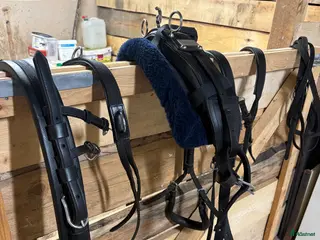 Övrig Hästutrustning hästutrustning Körsele till shettlandsponny i Väse - Annons 13