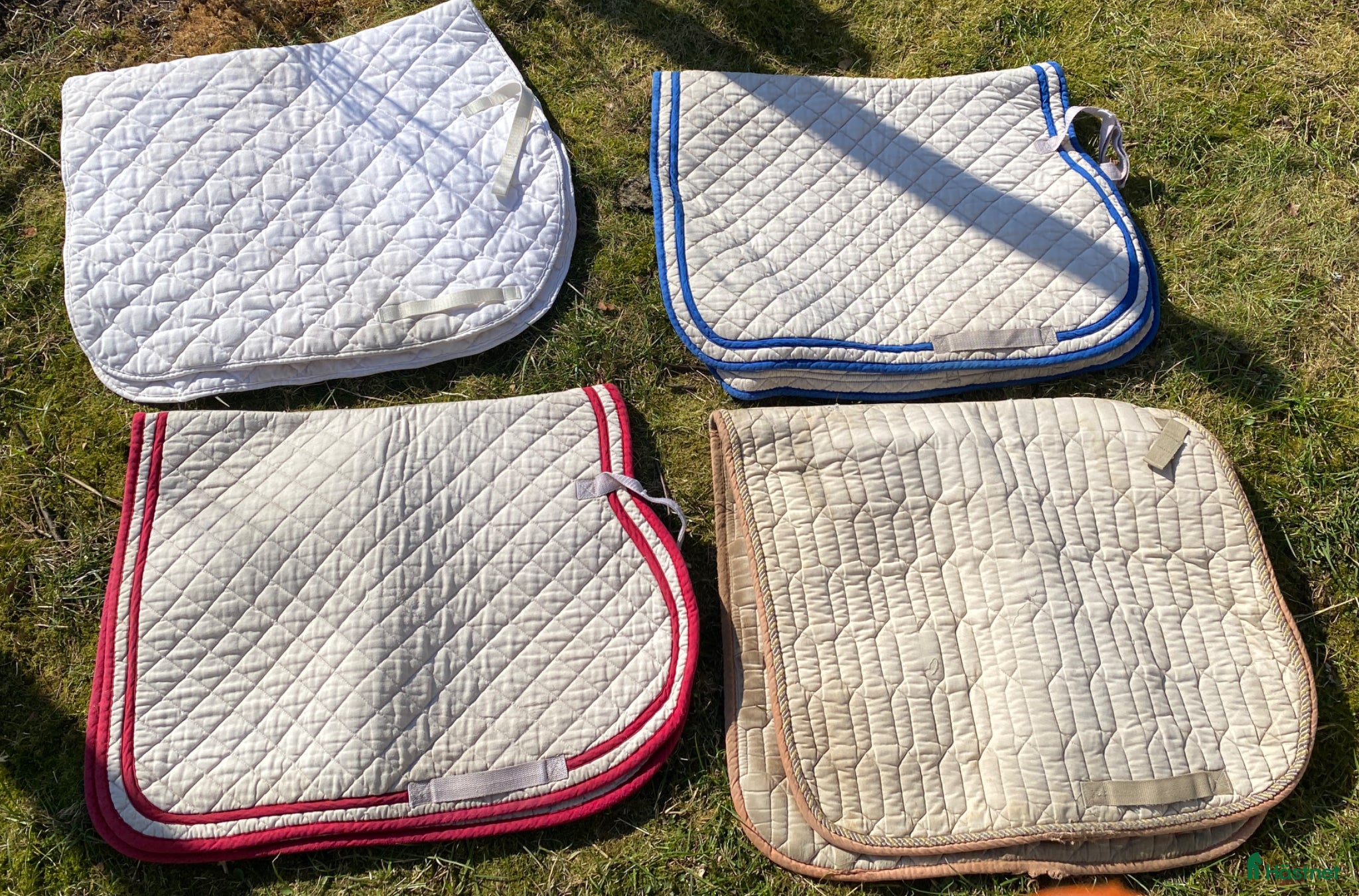 Schabrak & Vojlockar hästutrustning Schabrak  - Annons 17