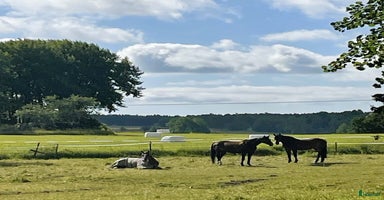  stallplats i Tungelsta - Annons 10