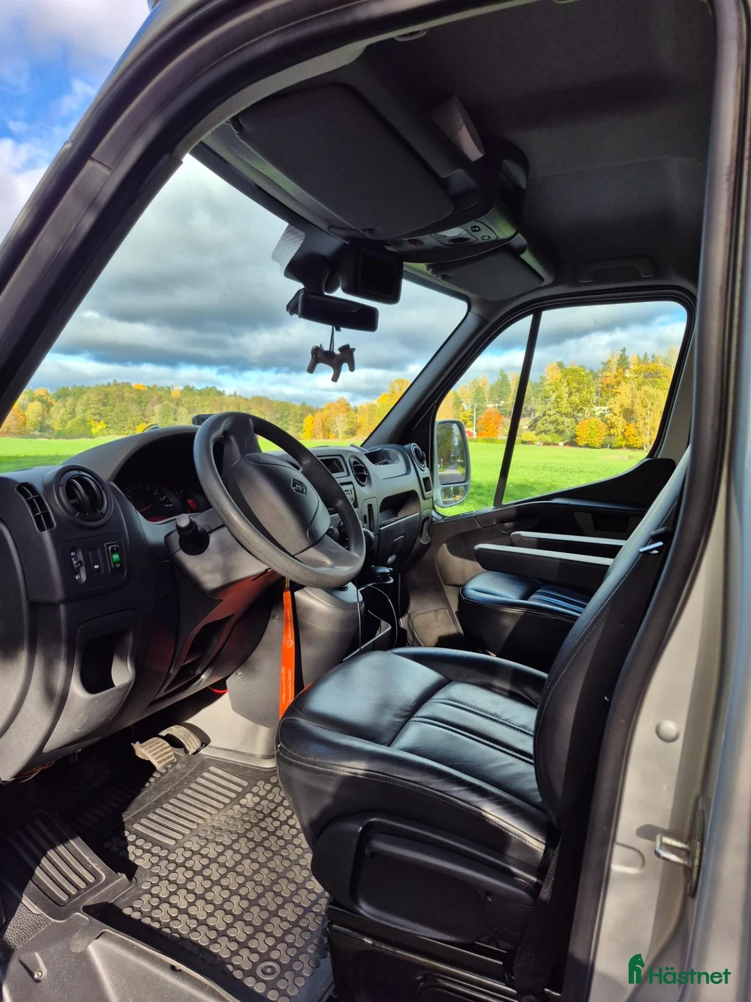 Hästlastbilar  fordon & transport till salu: Pedantskött Reanult Master Kingsröd STX - Annons 6