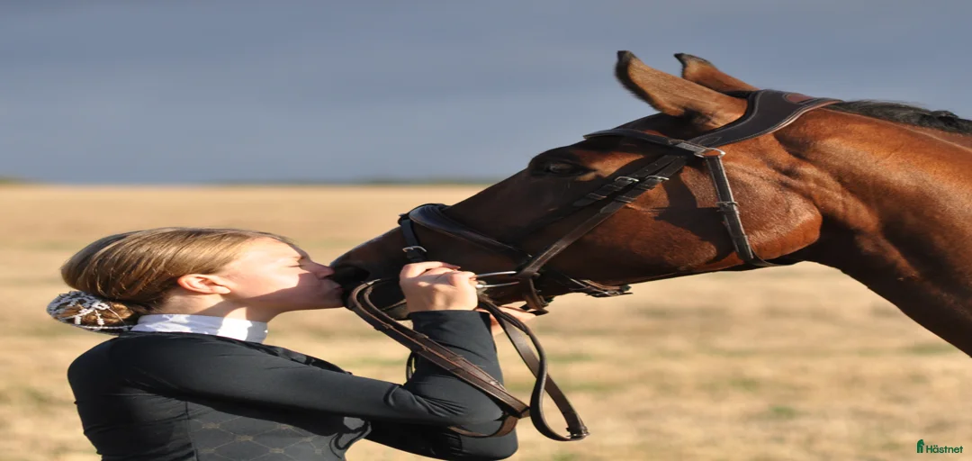 Galleribild {{count}}